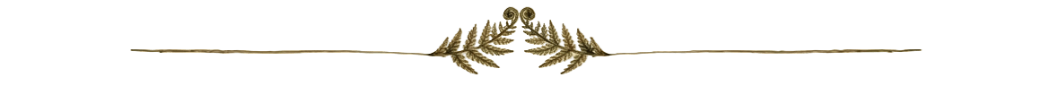 Botanical divider - fern-spiral